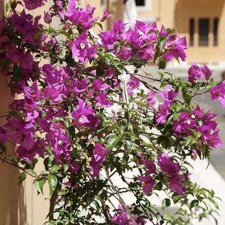 Masterintrastevere 4* Rome