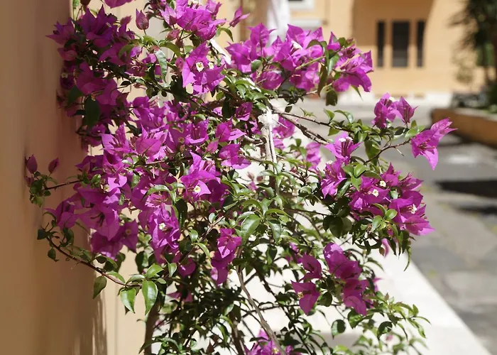 Masterintrastevere 4* Řím